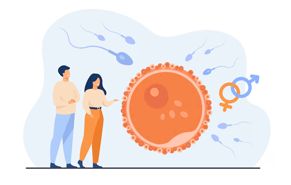 Fertility Preservation